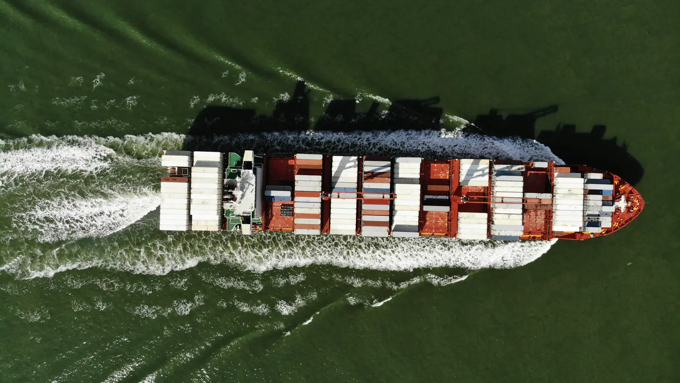 Containerschip op de Westerschelde bij Terneuzen