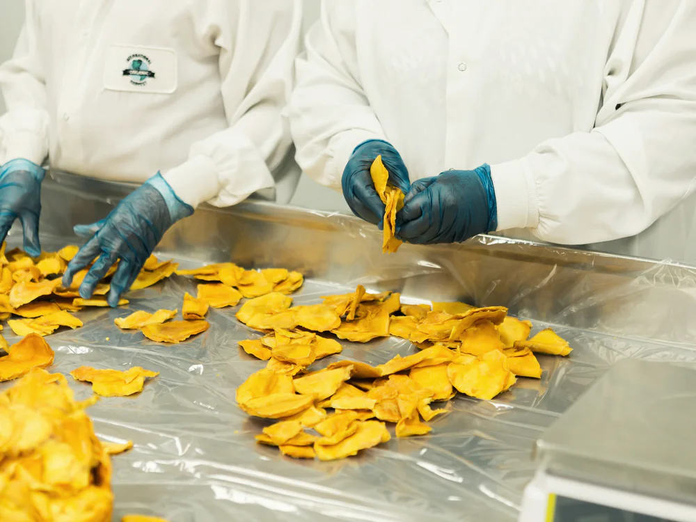 Handen met handschoenen sorteren gedroogd fruit